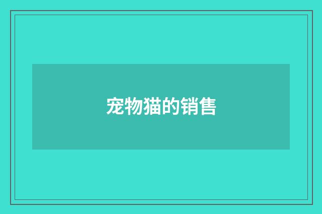 宠物猫的销售