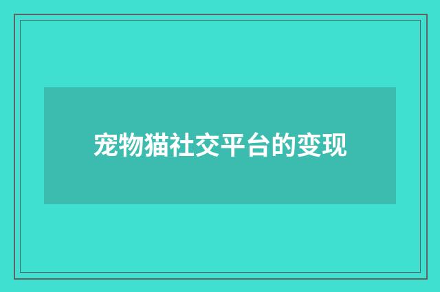 宠物猫社交平台的变现