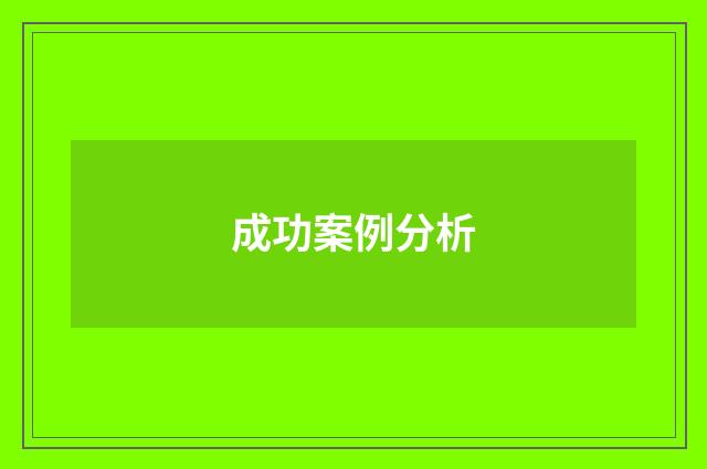 成功案例分析