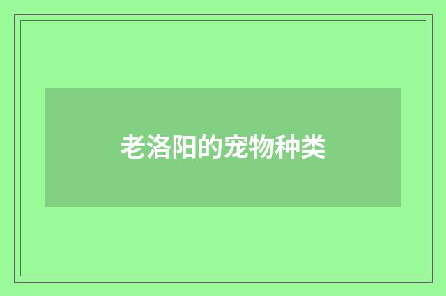 老洛阳的宠物种类