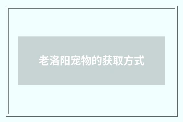 老洛阳宠物的获取方式