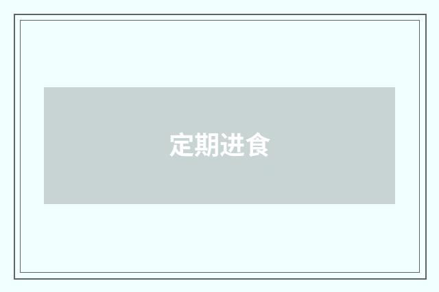 定期进食