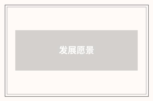 发展愿景