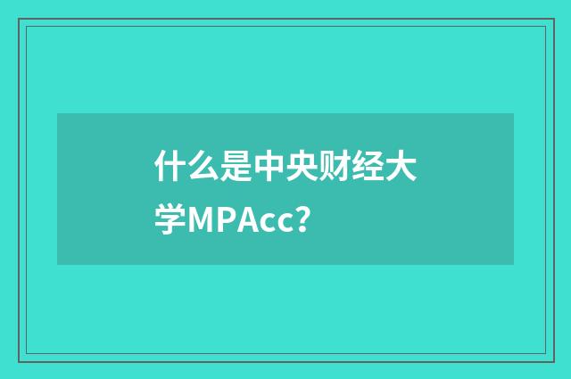 什么是中央财经大学MPAcc?