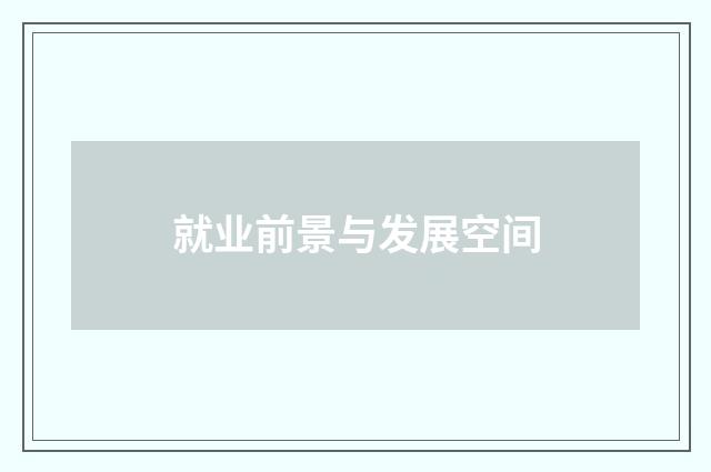 就业前景与发展空间