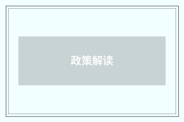 政策解读