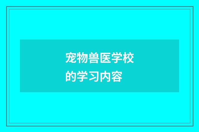 宠物兽医学校的学习内容