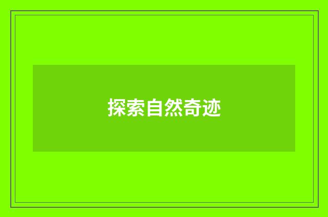 探索自然奇迹