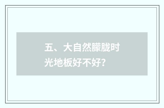 五、大自然朦胧时光地板好不好?