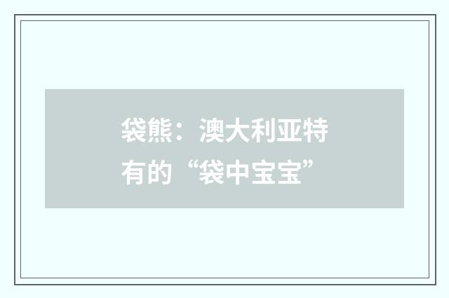 袋熊:澳大利亚特有的“袋中宝宝”