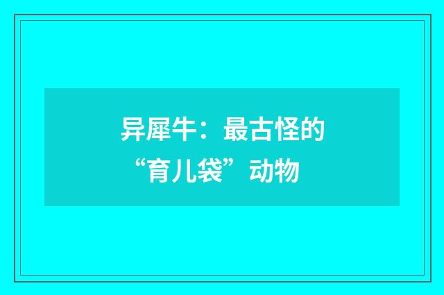 异犀牛:最古怪的“育儿袋”动物