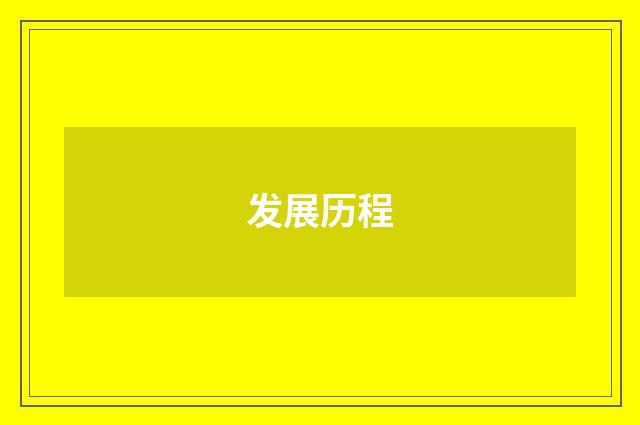 发展历程