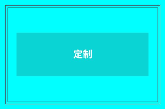 定制