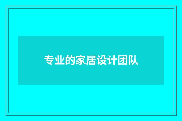专业的家居设计团队