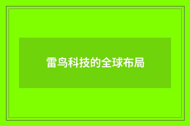 雷鸟科技的全球布局