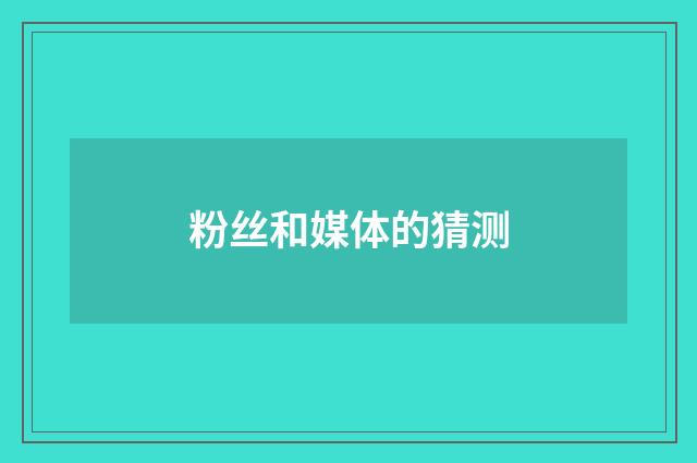 粉丝和媒体的猜测