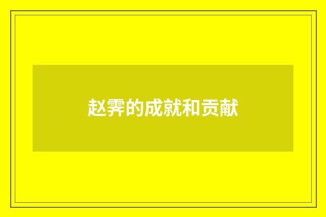 赵霁的成就和贡献