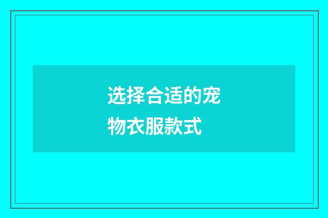 选择合适的宠物衣服款式