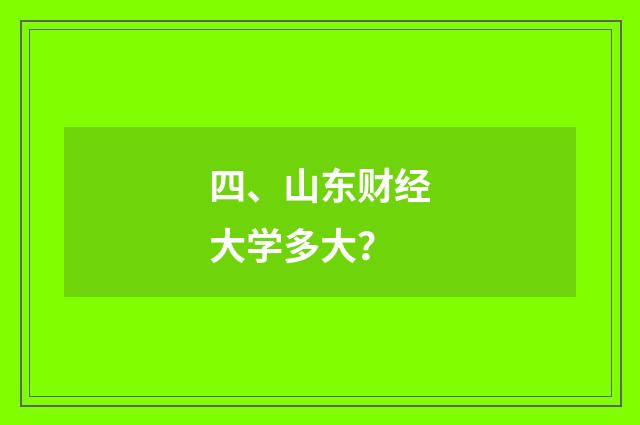 四、山东财经大学多大?