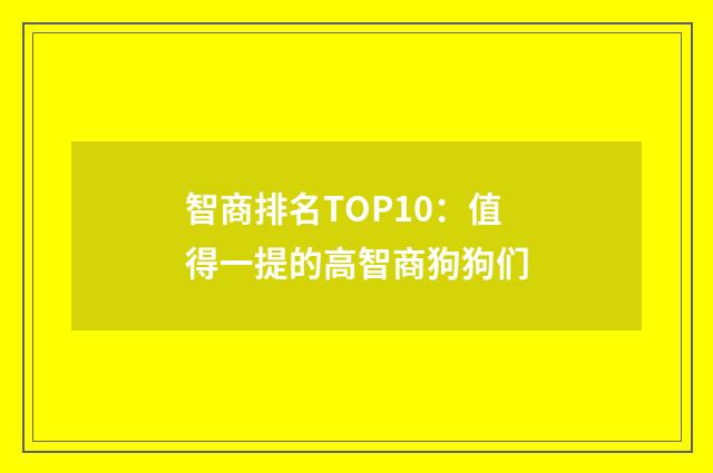智商排名TOP10：值得一提的高智商狗狗们