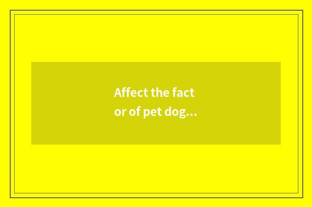 Affect the factor of pet dog price