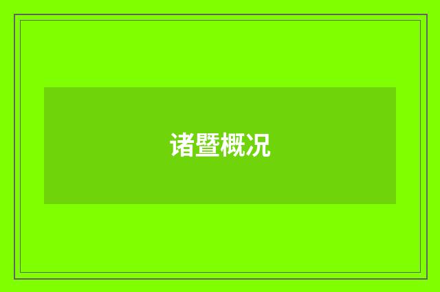 诸暨概况