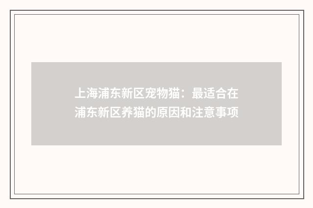 上海浦东新区宠物猫:最适合在浦东新区养猫的原因和注意事项