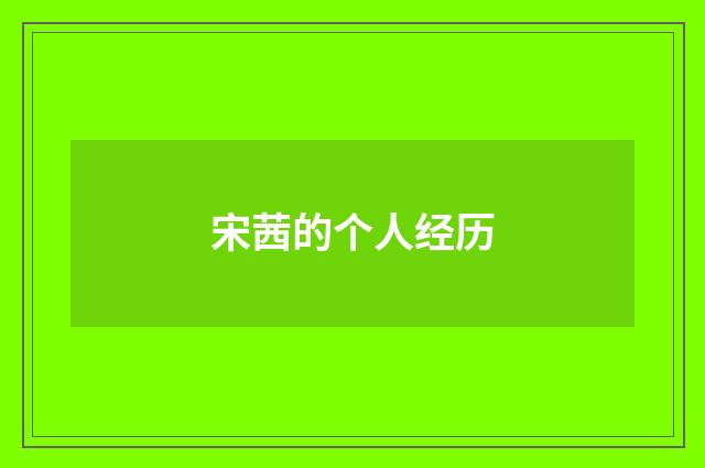 宋茜的个人经历