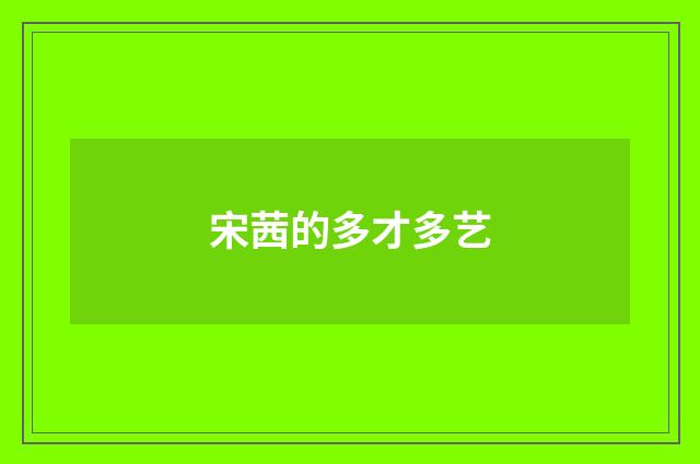 宋茜的多才多艺