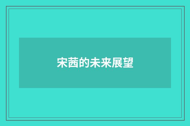 宋茜的未来展望
