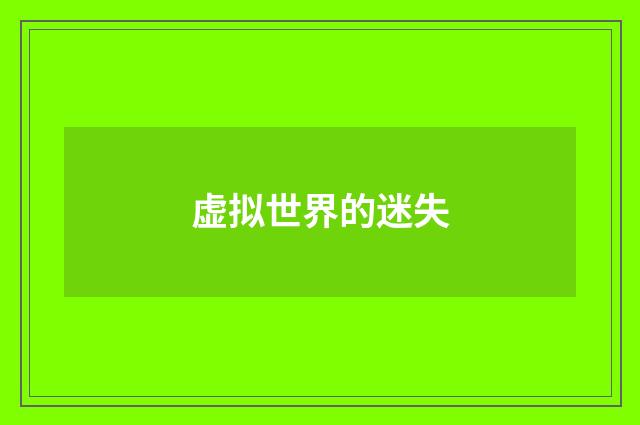 虚拟世界的迷失