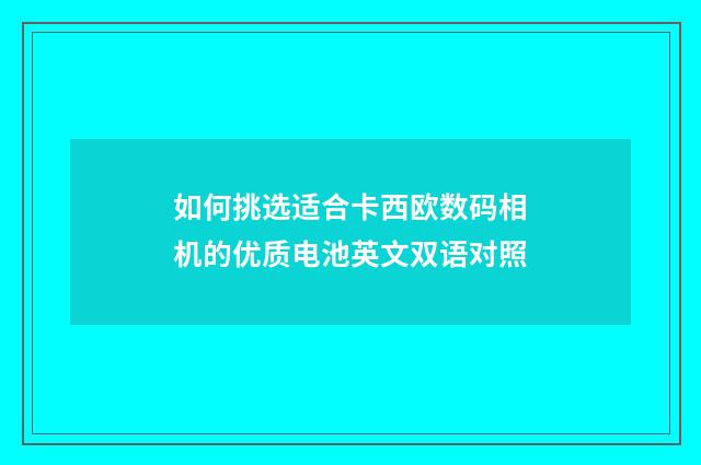 如何挑选适合卡西欧数码相机的优质电池英文双语对照
