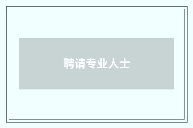 聘请专业人士