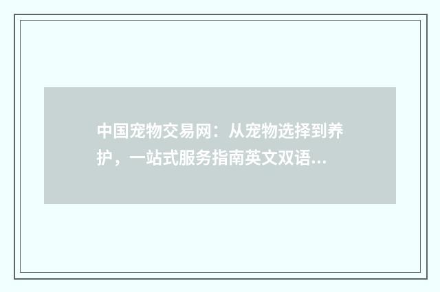 中国宠物交易网:从宠物选择到养护,一站式服务指南英文双语对照