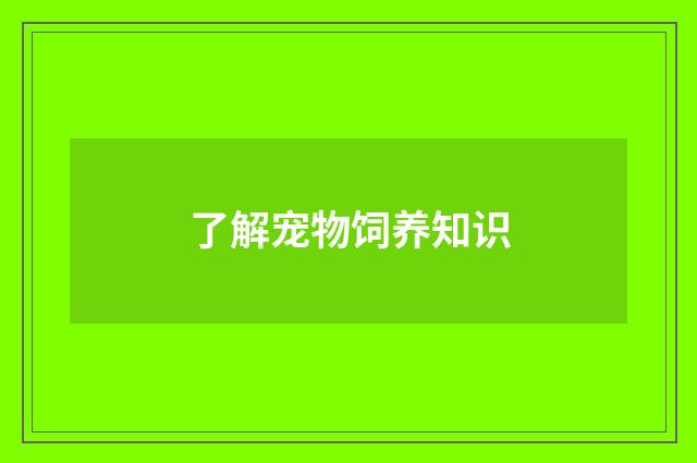 了解宠物饲养知识