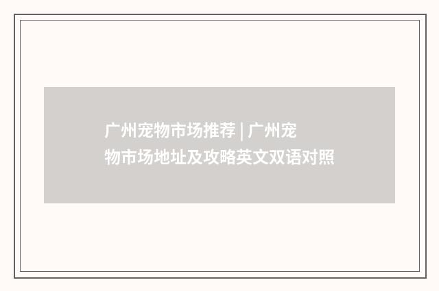 广州宠物市场推荐 | 广州宠物市场地址及攻略英文双语对照