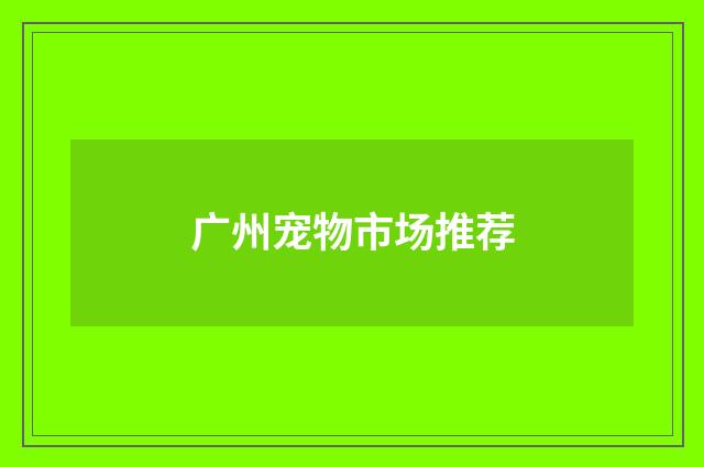 广州宠物市场推荐