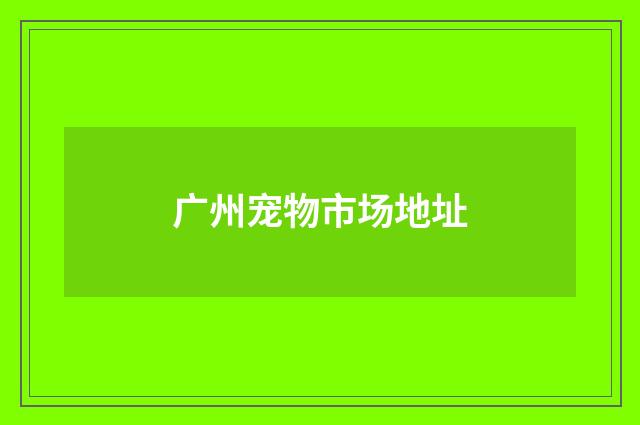 广州宠物市场地址