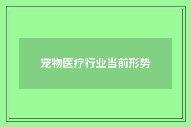 宠物医疗行业当前形势