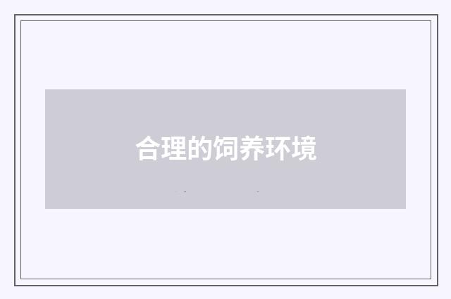 合理的饲养环境