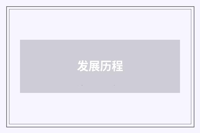 发展历程