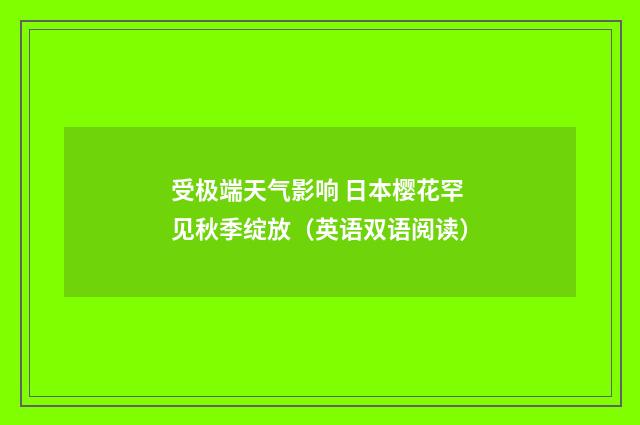 受极端天气影响 日本樱花罕见秋季绽放(英语双语阅读)