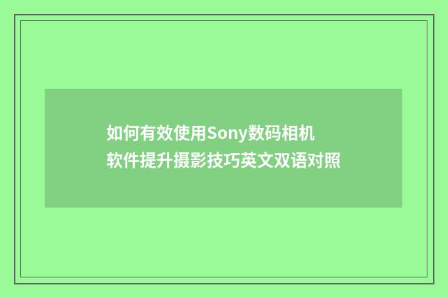 如何有效使用Sony数码相机软件提升摄影技巧英文双语对照