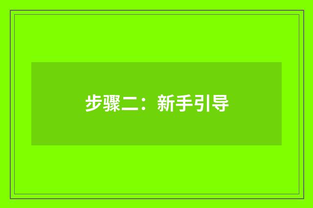步骤二:新手引导