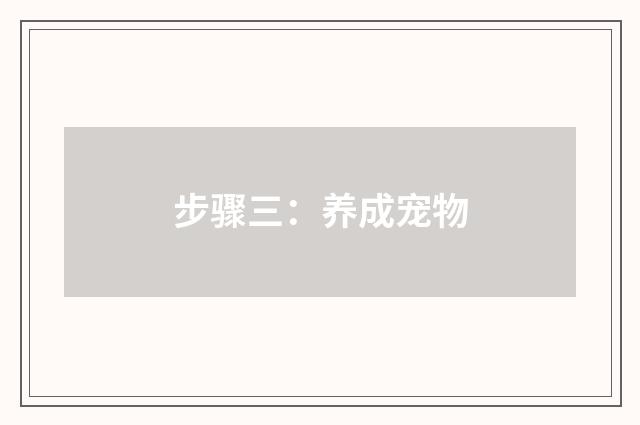 步骤三：养成宠物