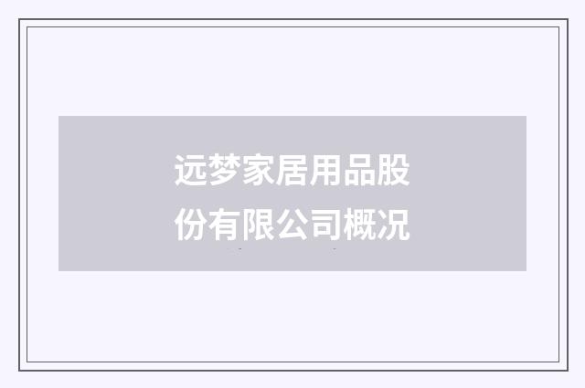 远梦家居用品股份有限公司概况