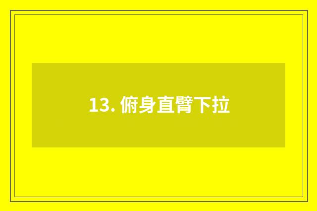 13. 俯身直臂下拉