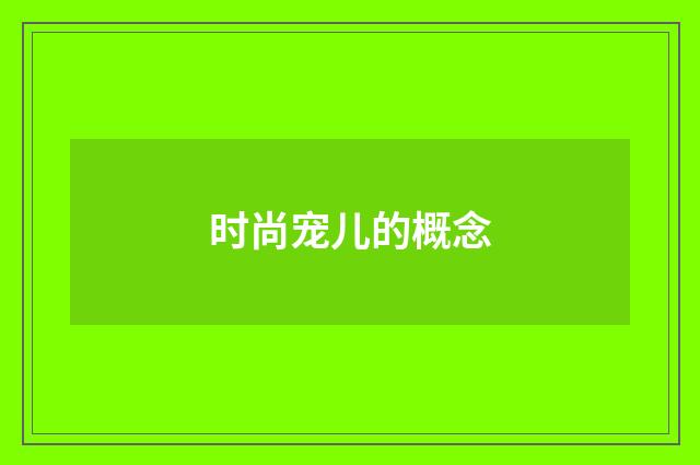 时尚宠儿的概念