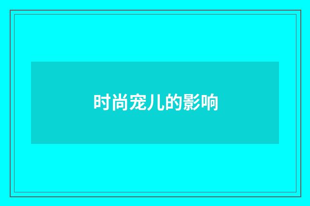 时尚宠儿的影响
