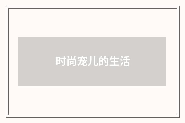 时尚宠儿的生活